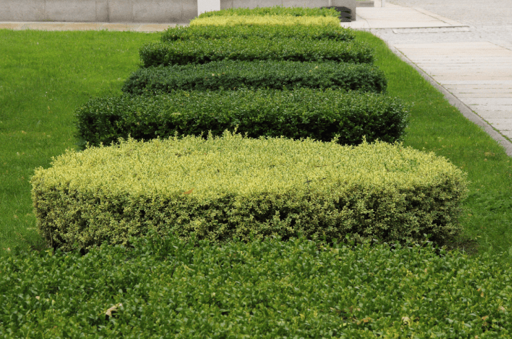 E-Z-E Lawn Care
