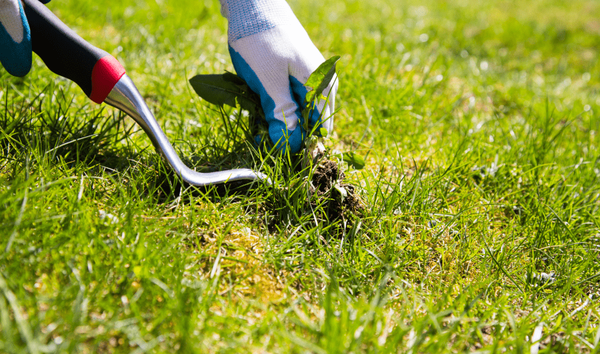 E-Z-E Lawn Care